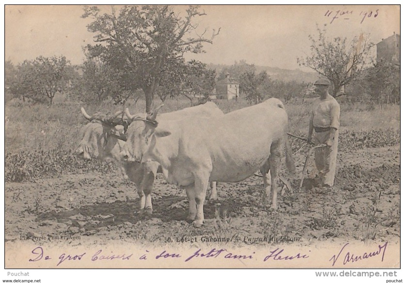 OP10-  LE LOT-ET-GARONNE PAYSAN AU LABOUR AGRICULTURE METIER LABOURAGE ATTELAGE BOVINS -PERRET AGEN - 1903 - 2 SCANS) - Autres & Non Classés