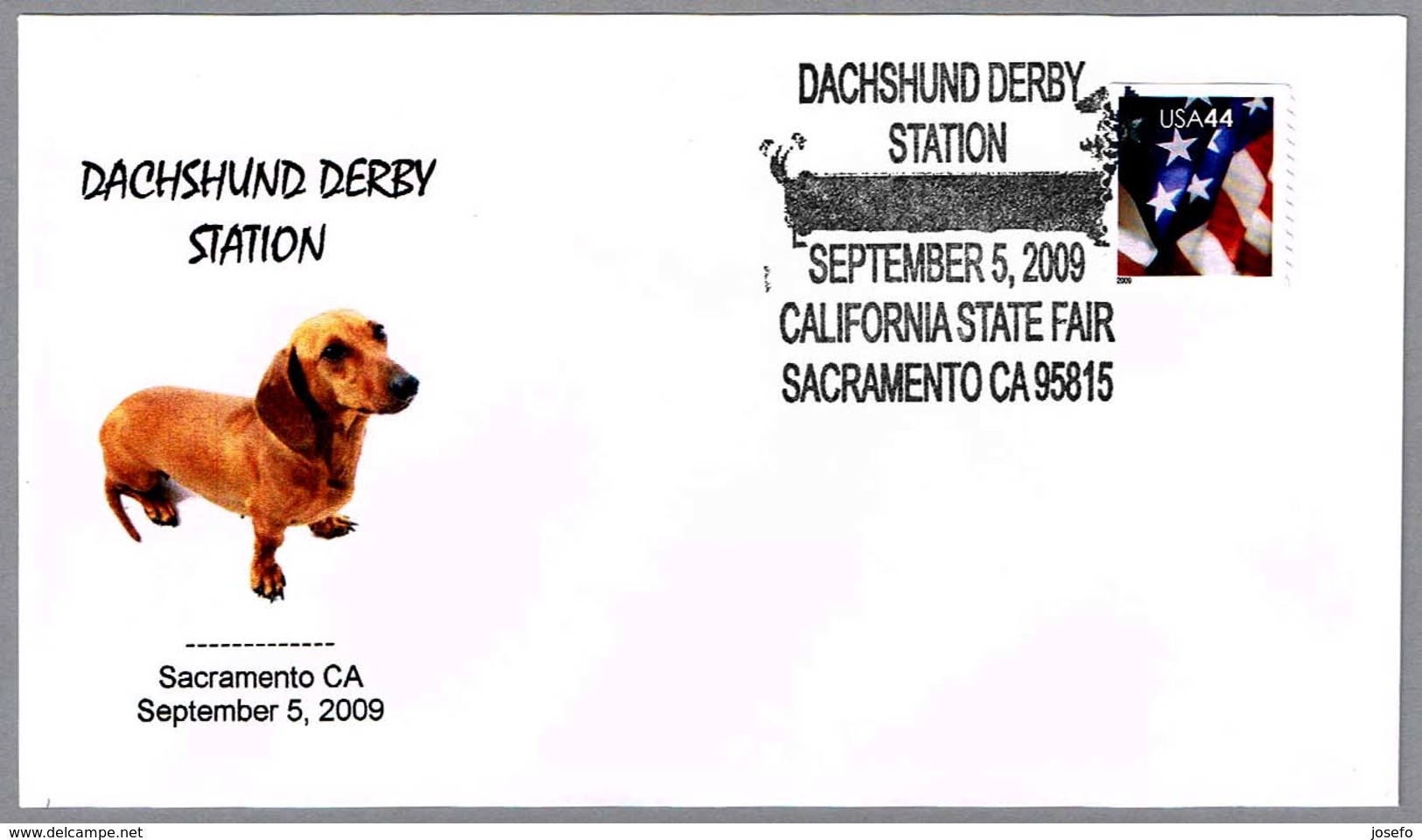 DACHSHUND Derby. Perro - Dog. Sacramento CA 2009 - Perros