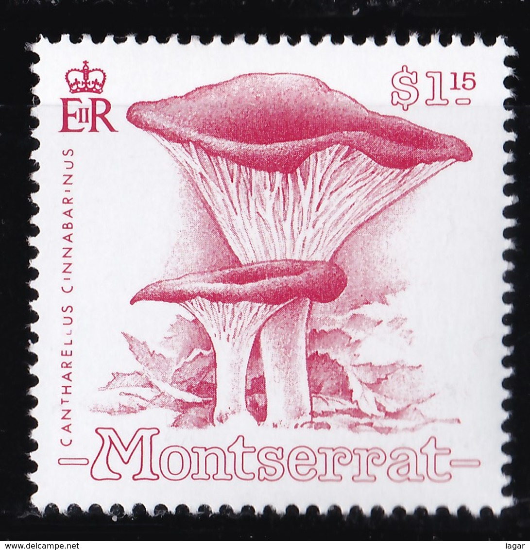 THEMATIC MUSHROOM - MONTSERRAT - Funghi