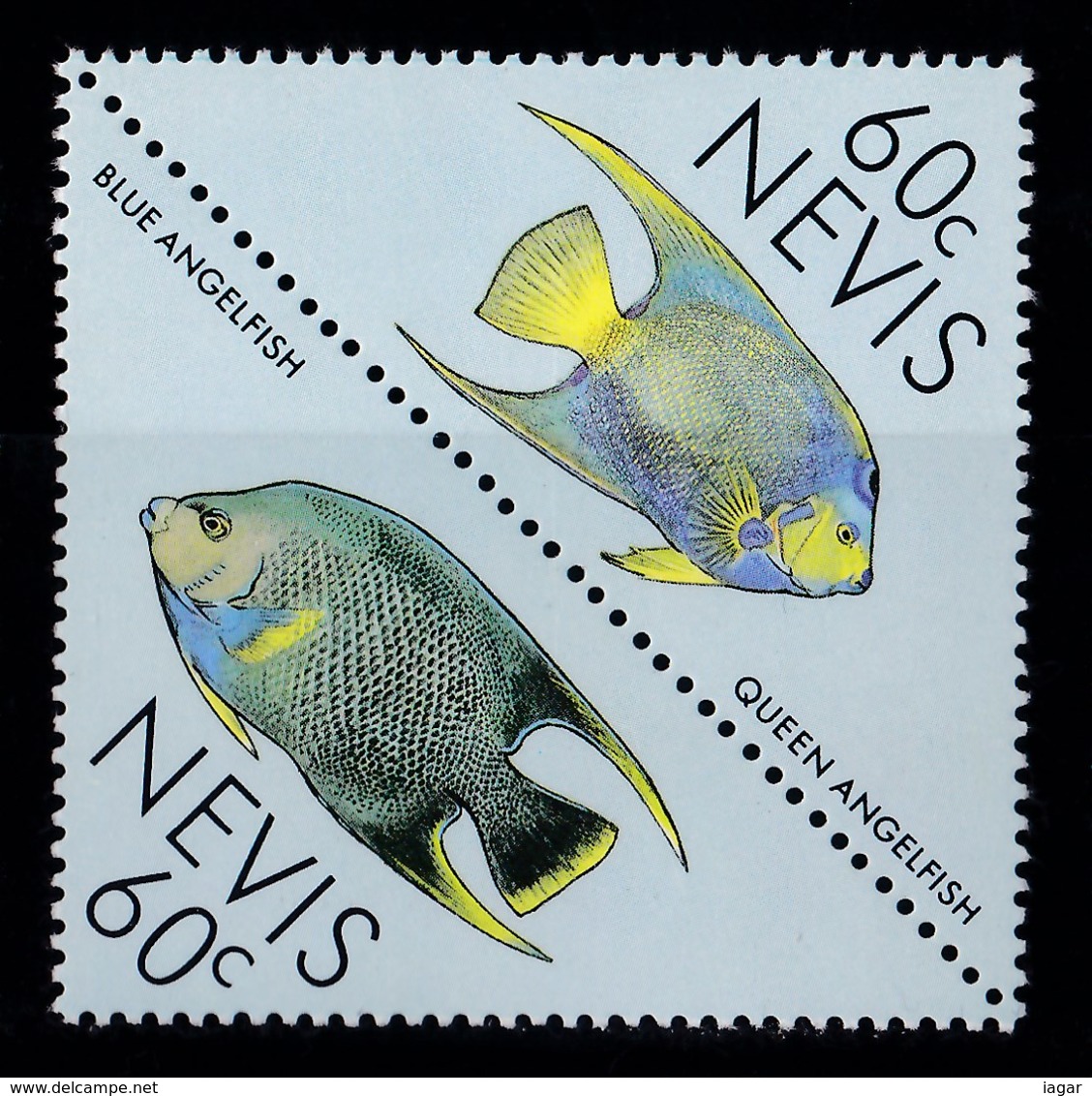 THEMATIC FISH - NEVIS - Pesci