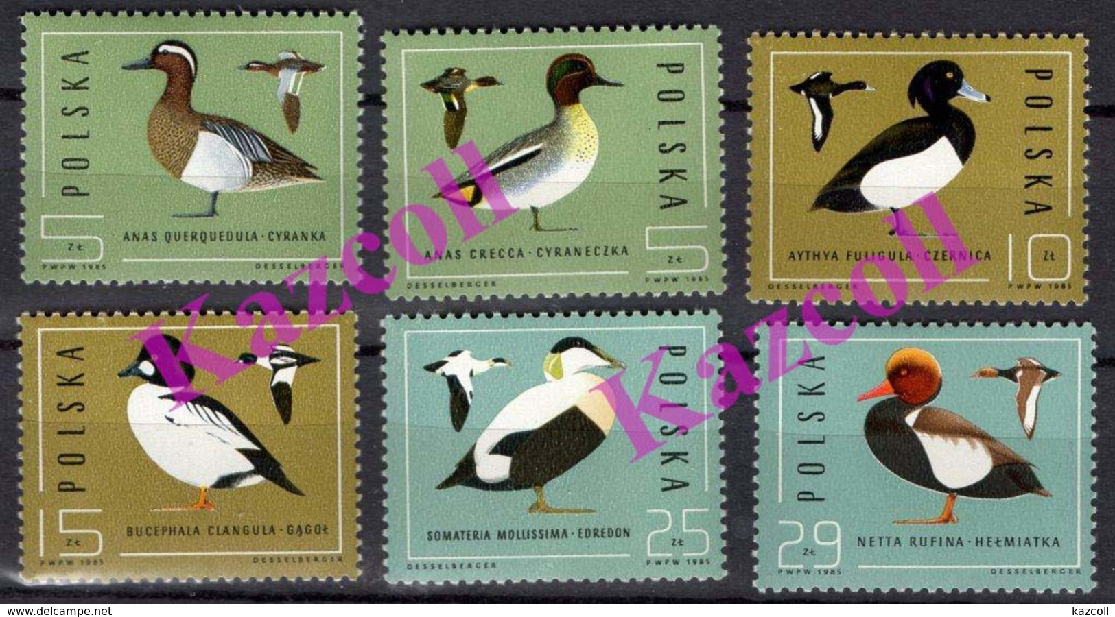 Poland 1985. Ducks. Fauna. Birds. MNH - Autres & Non Classés