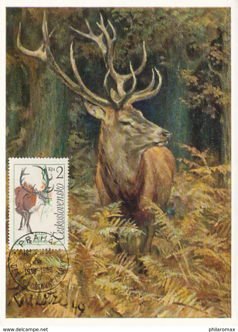 D35957 CARTE MAXIMUM CARD 1957 CZECHOSLOVAKIA - CERF STAG HIRSCH CP ORIGINAL - Gibier