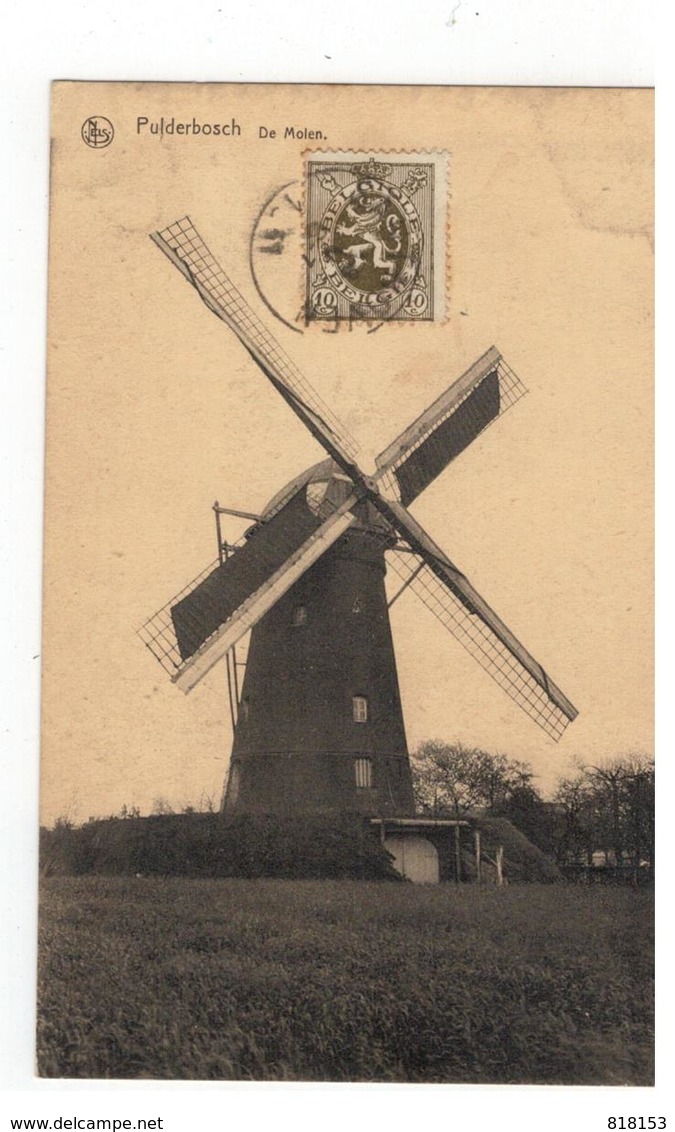 Pulderbos  Pulderbosch  -  De Molen - Zandhoven