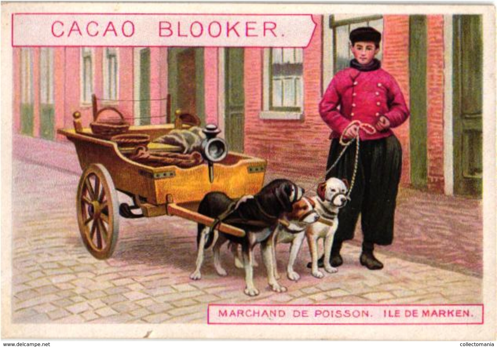 8 Chromo Cards C1890 Cacao Chocolade Chocolate Blooker Eiland Ile MARKEN Island Holland Hindeloopen Dog Cart - Autres & Non Classés