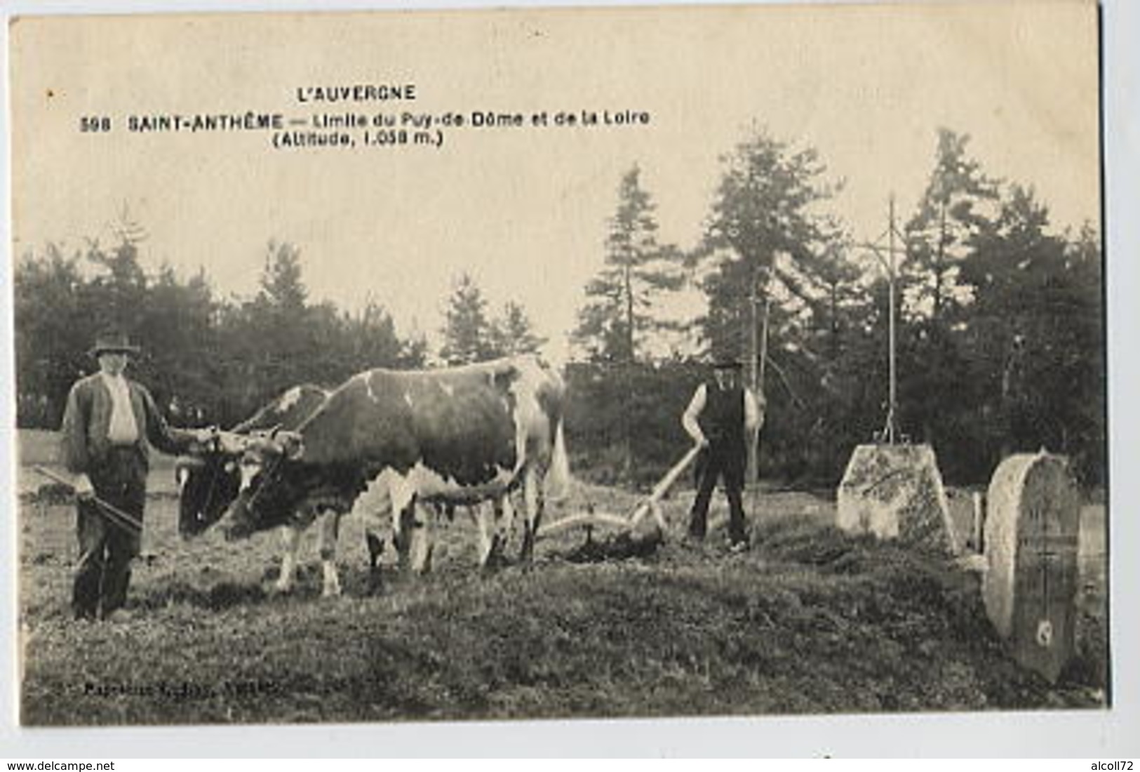 SAINT ANTHEME(attelage Boeufs , Labourage) - Autres & Non Classés