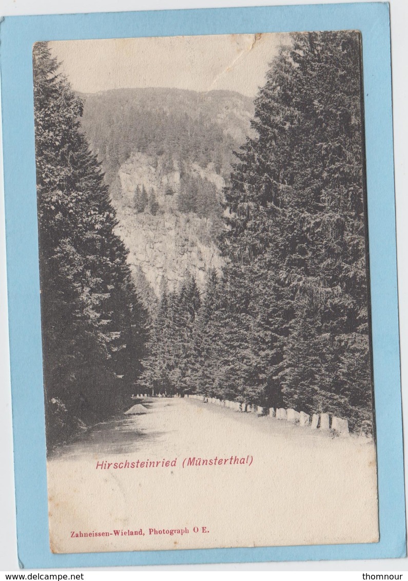 MÜNSTERTHAL  -  HIRSCHSTEINRIED  -  ( Déchirure Haut  ) - Münstertal