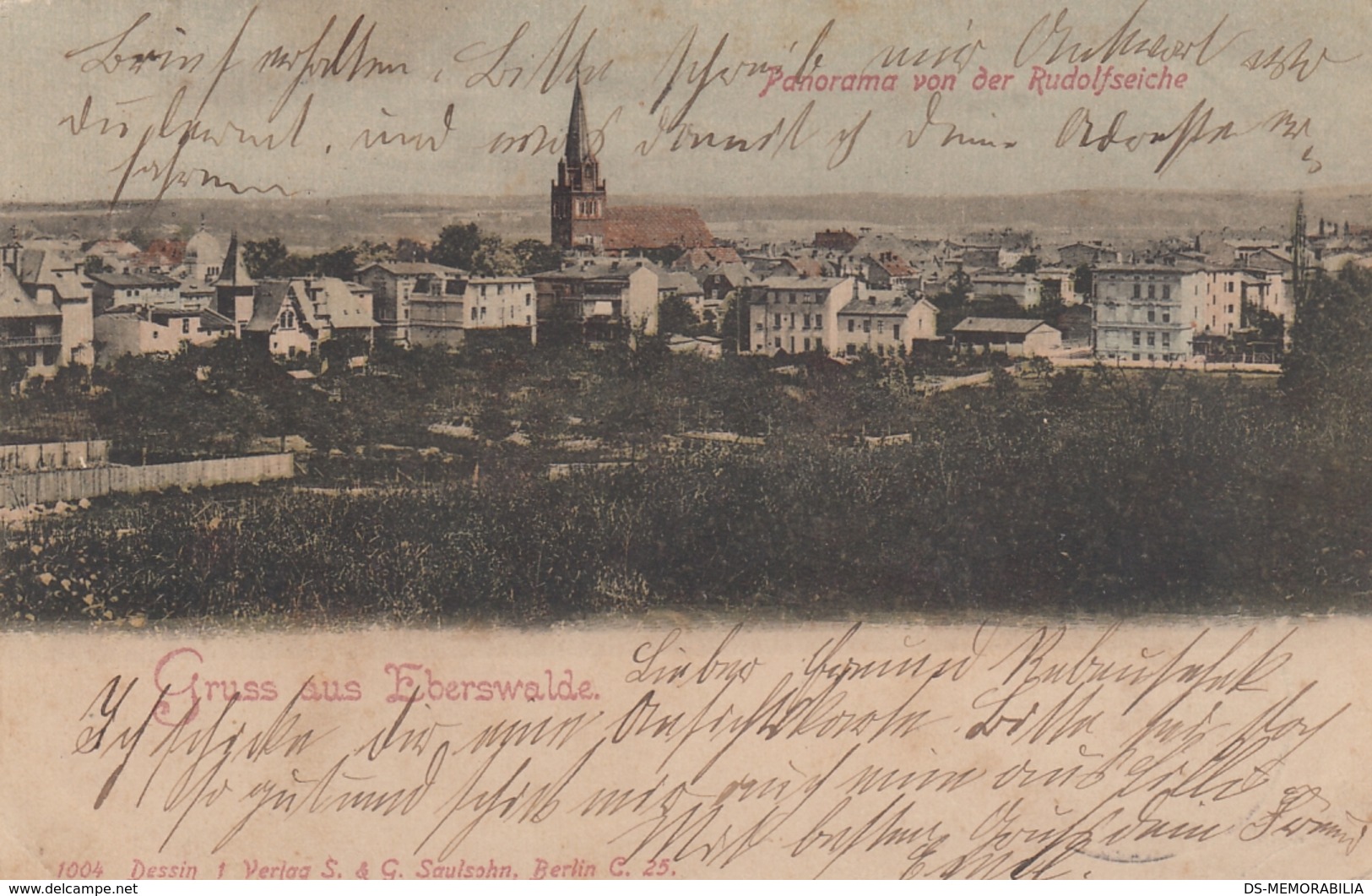 Eberswalde - Panorama Von Der Rudolfseiche 1900 - Eberswalde