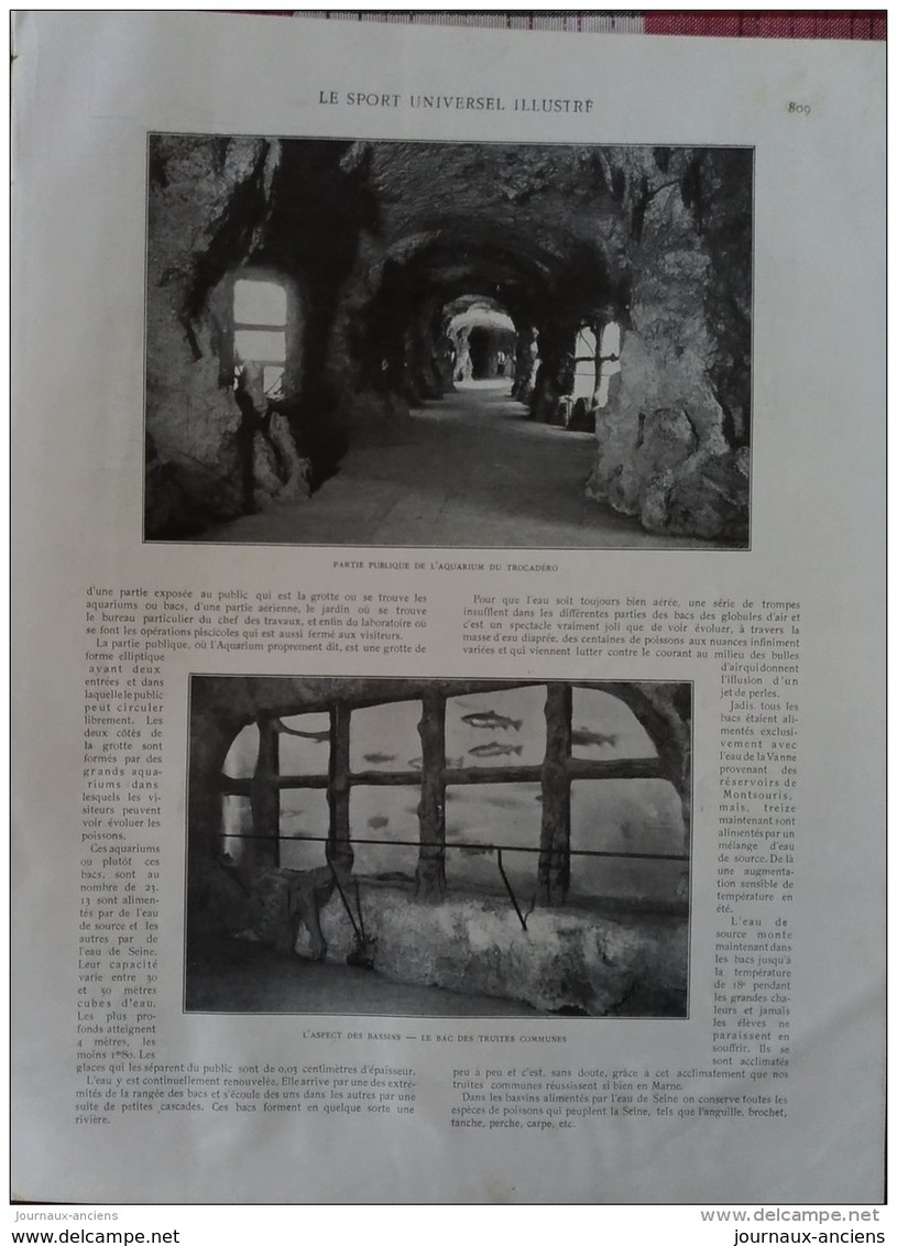 1909 L'AQUARIUM DU TROCADERO - BOXE SAM MAC VEA / JOE JEANNETTE - CHAT SAUVAGE - HARAS DU BECQUET SAINT PAUL ( OISE ) - Autres & Non Classés