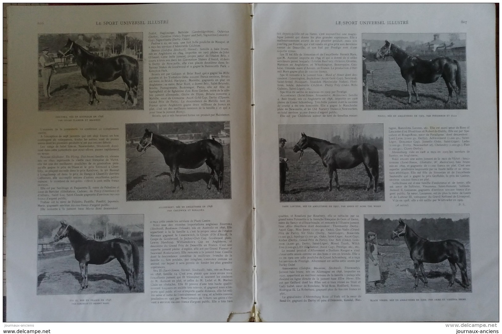 1909 L'AQUARIUM DU TROCADERO - BOXE SAM MAC VEA / JOE JEANNETTE - CHAT SAUVAGE - HARAS DU BECQUET SAINT PAUL ( OISE )