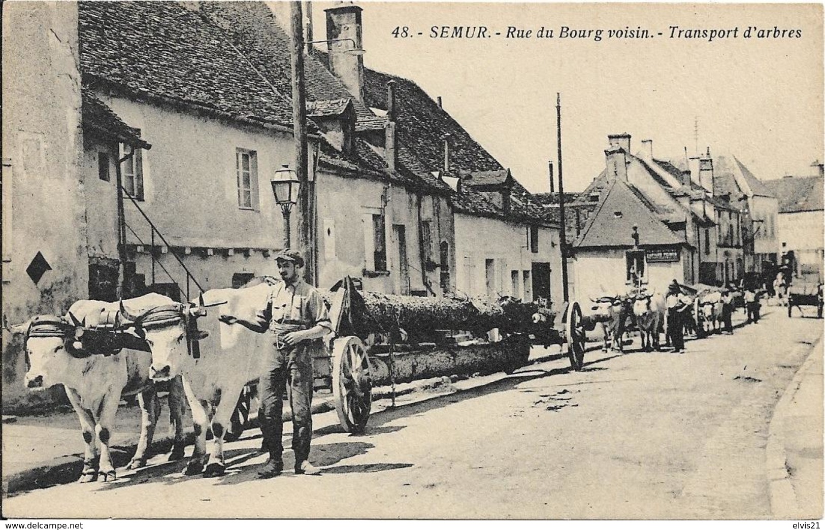 SEMUR EN AUXOIS Rue Du Bourg Voisin.Transport D' Arbres.Attelage De Boeufs - Autres & Non Classés