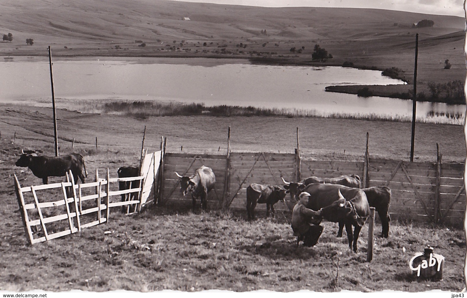 LAC DE GODIVELLE  La Fumade Cpsm Pm - Autres & Non Classés