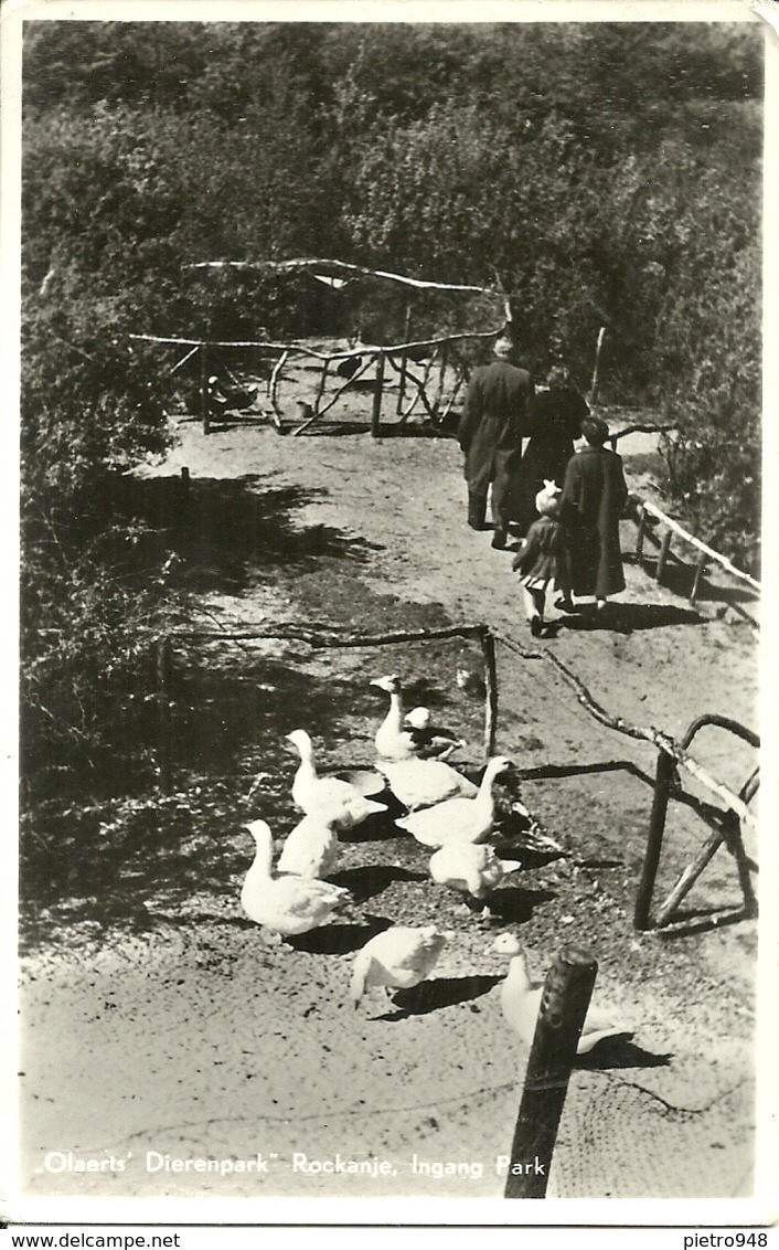 Rockanje (Zuid Holland, Olanda) "Olaerts Dierenpark, Ingang Park - Andere & Zonder Classificatie