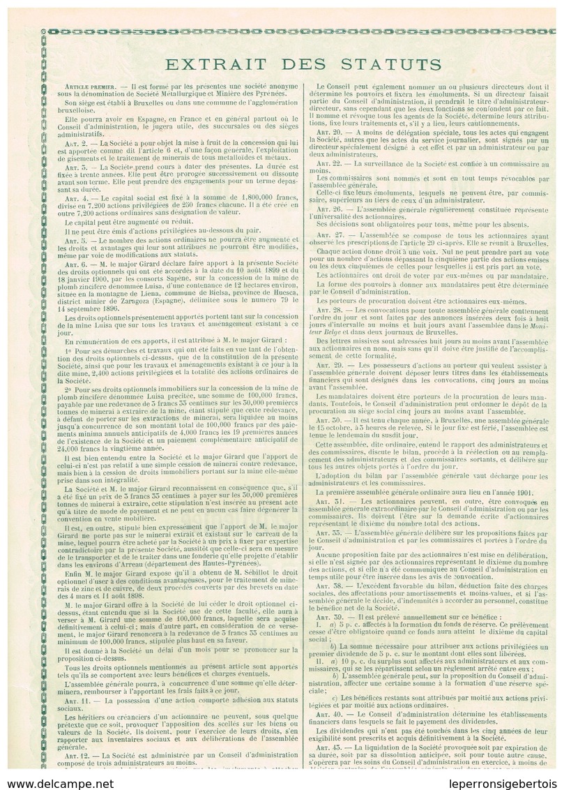 Action Ancienne - Société Métallurgique Et Minière Des Pyrénées - Titre De 1900 - - Mineral