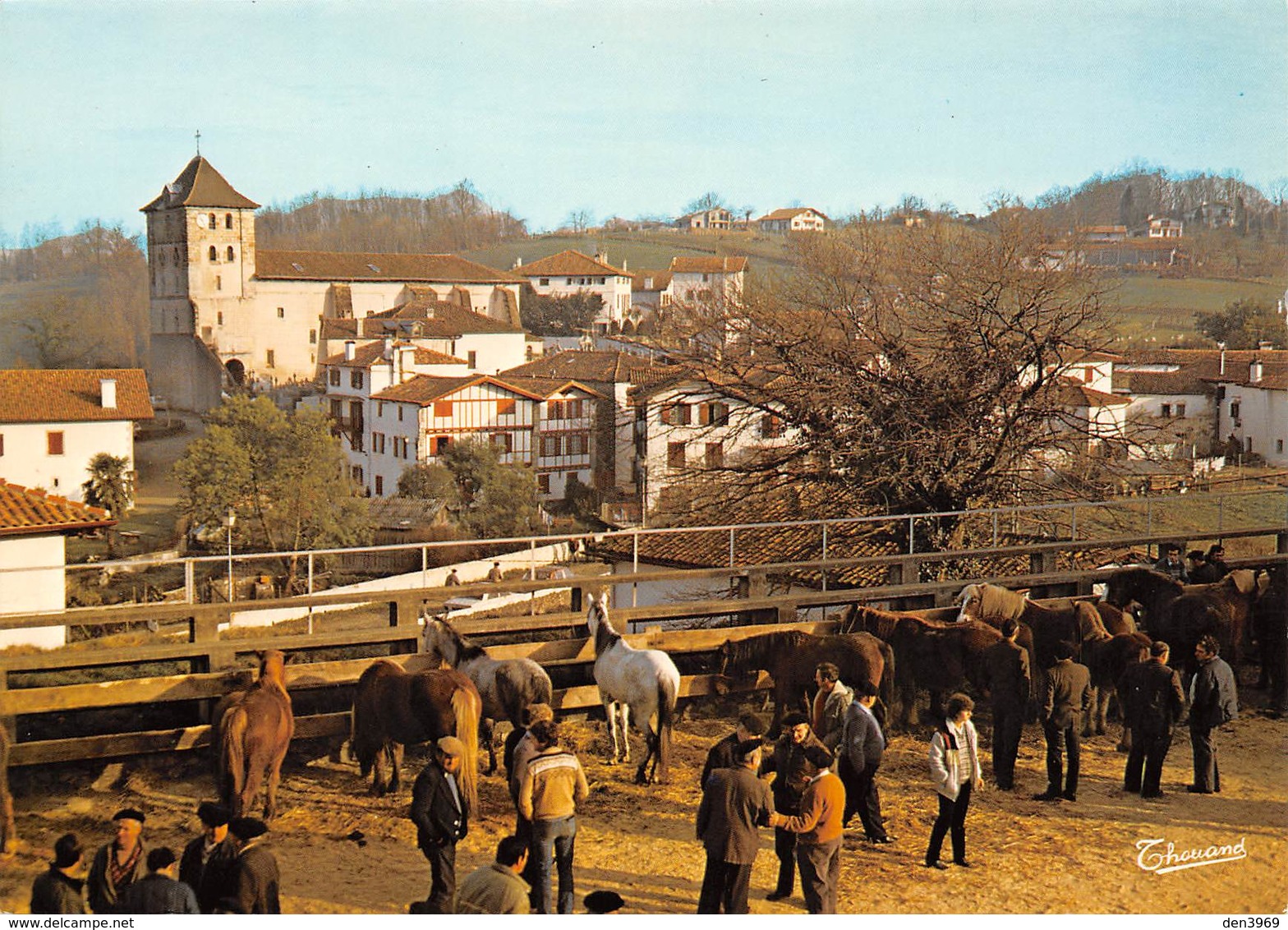 Espelette - La Foire Aux Pottoks - Chevaux - Espelette