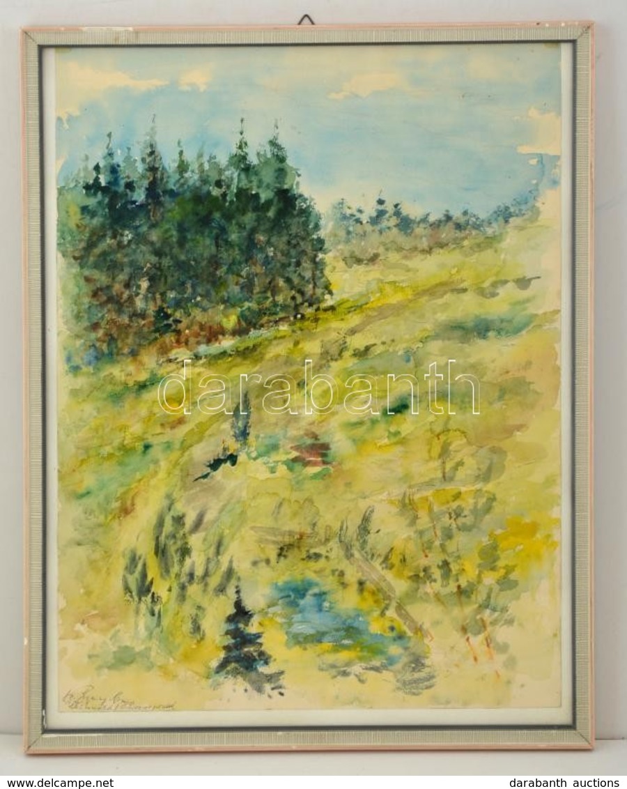 Olvashatatlan Jelzéssel: Doboldal Fenyőfákkal. Akvarell, Papír, üvegezett Keretben, 48×37 Cm - Andere & Zonder Classificatie