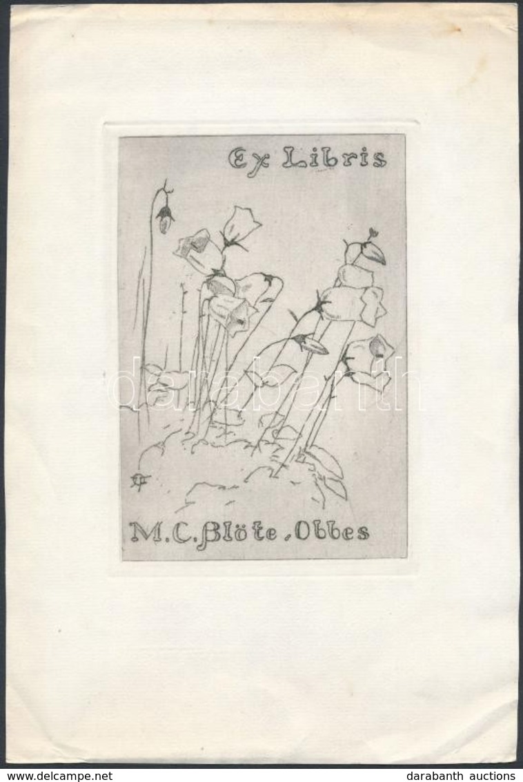 Joan François Obbes (1869-1963): Ex Libris M. C. Blöte. Rézkarc, Papír. 14x9 Cm - Andere & Zonder Classificatie