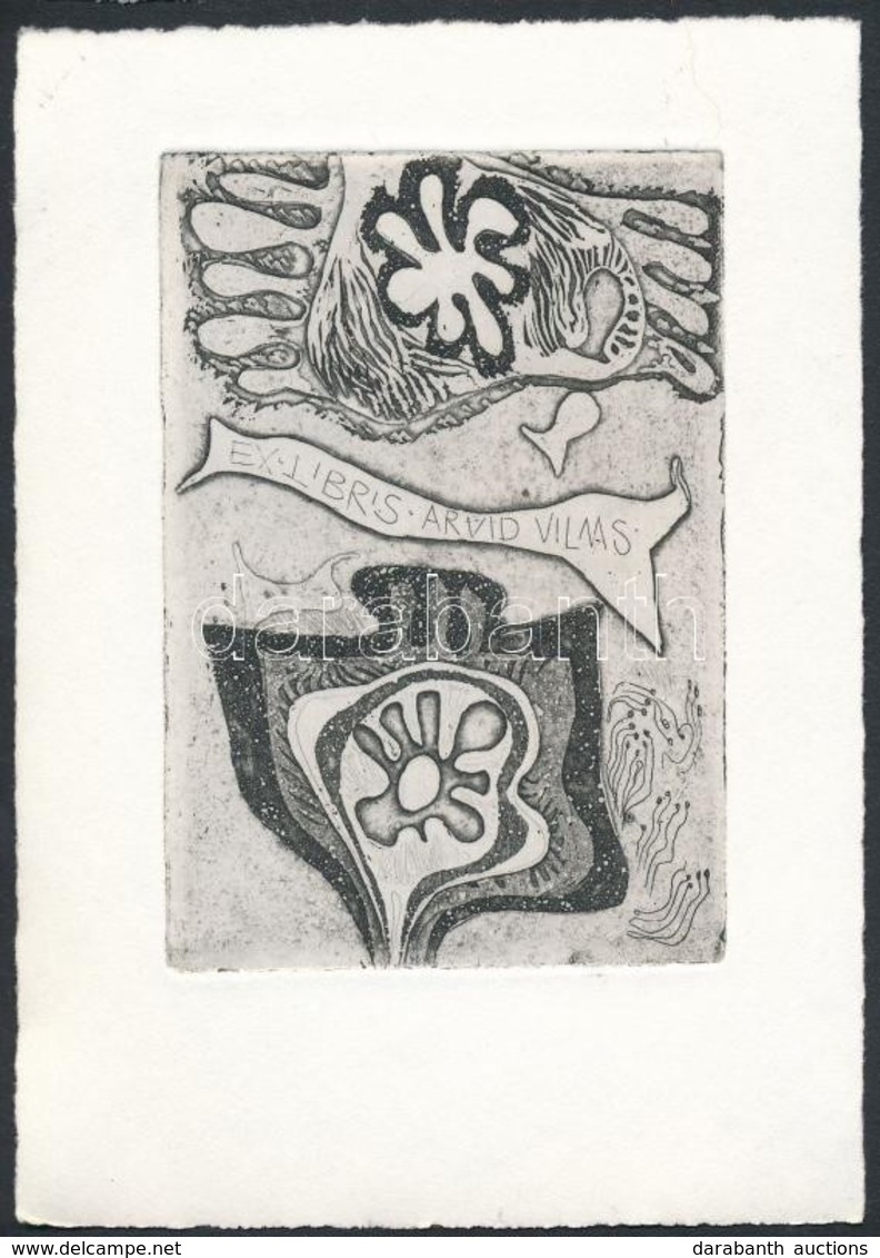 Tolli, Vive (1928- ): Ex Libris, Rézkarc, Papír, Jelzett, 9,5×6,5 Cm - Andere & Zonder Classificatie