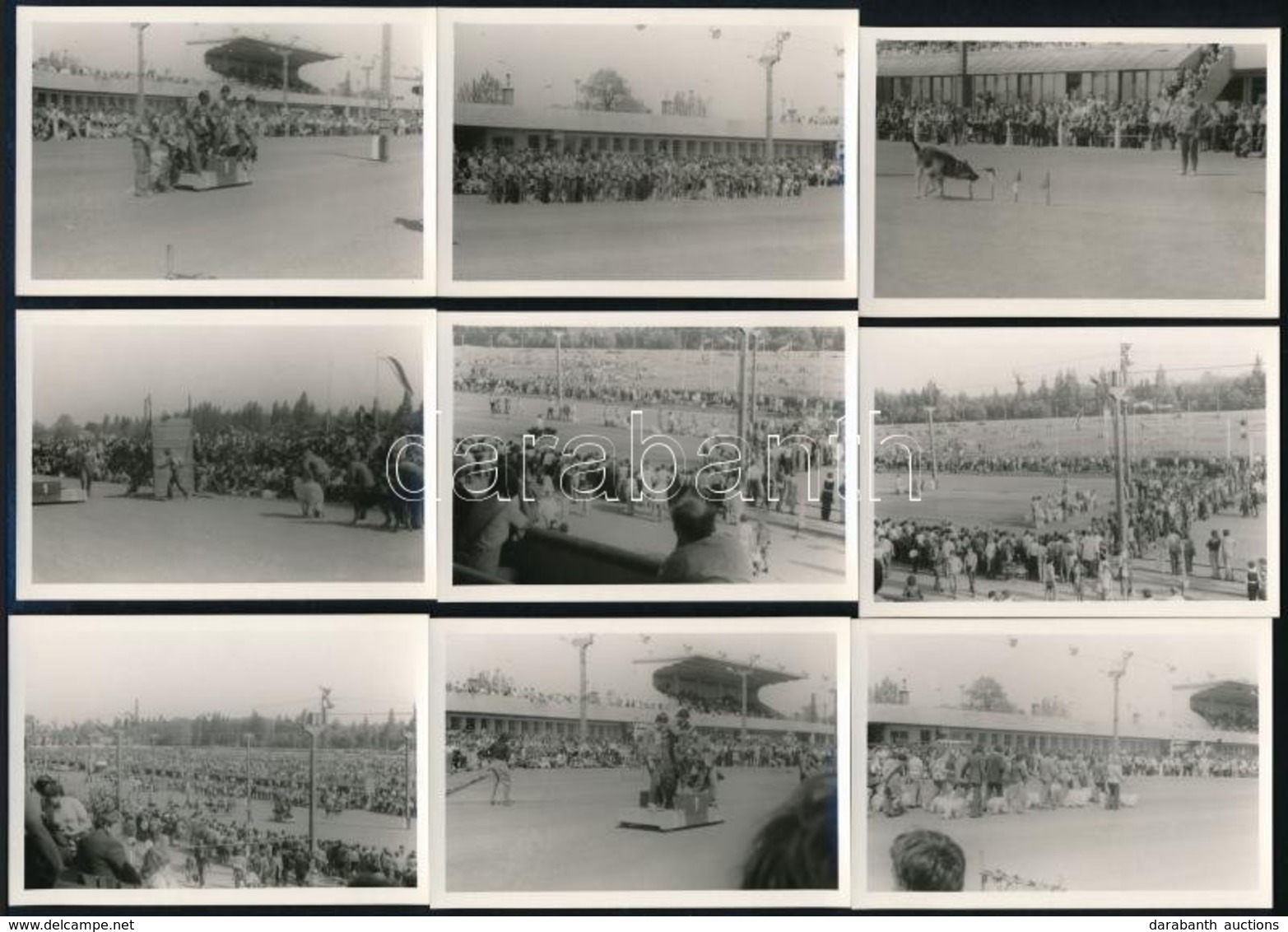 Cca 1960 Kutyaverseny A Régi ügetőpályán, 15 Db Fotó, 6,5×9,5 Cm - Andere & Zonder Classificatie