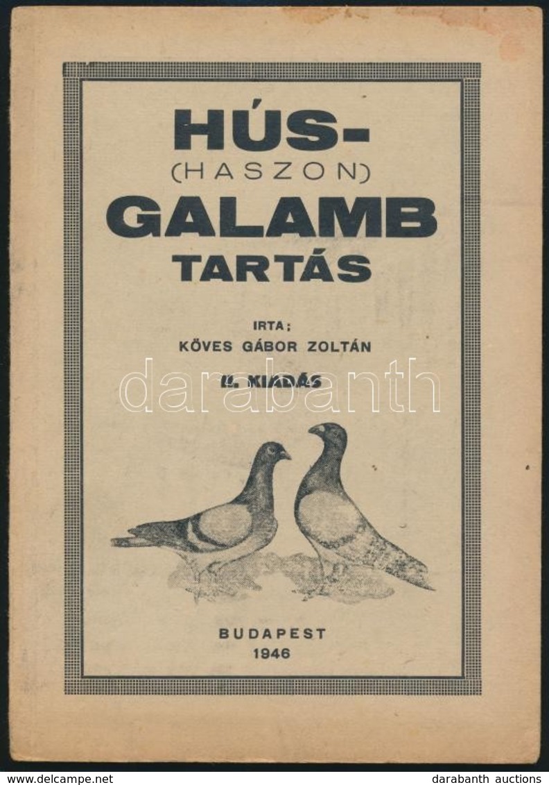 Köves Gábor Zoltán: Hús- (haszon) Galamb Tartás. Bp., 1946, Athenaeum-ny., 31 P. II. Kiadás. Kiadói Papírkötés, Kis Folt - Zonder Classificatie