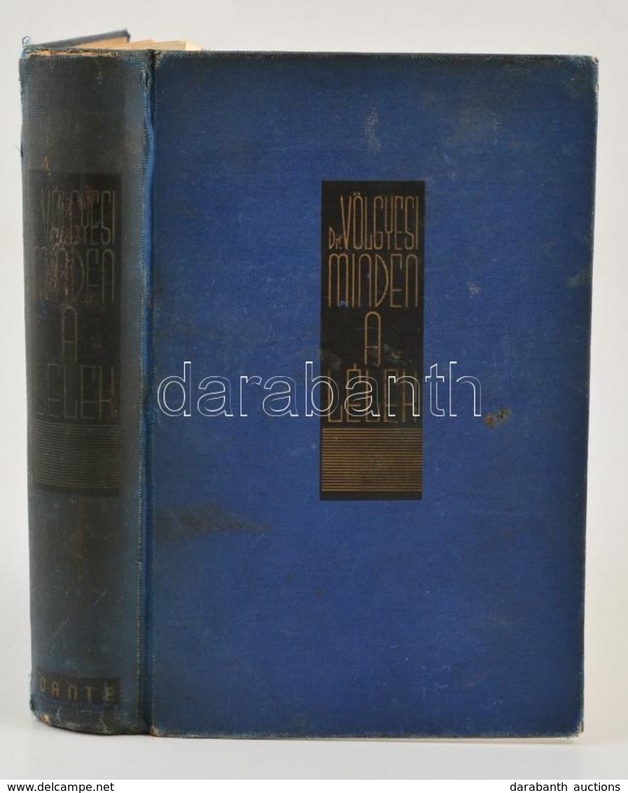 Völgyesi Ferenc: Minden A Lélek. A Démonológiától A Gyógyhipnózisig. 246 Képpel. Bp., 1940. Dante. Kiadói Aranyozott Egé - Zonder Classificatie