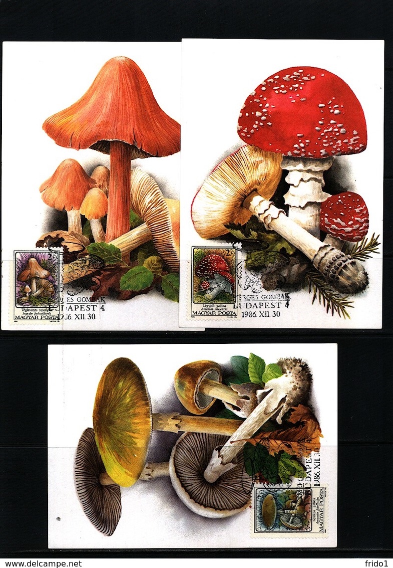 Hungary 1986 Mushrooms Maximumcards - Pilze