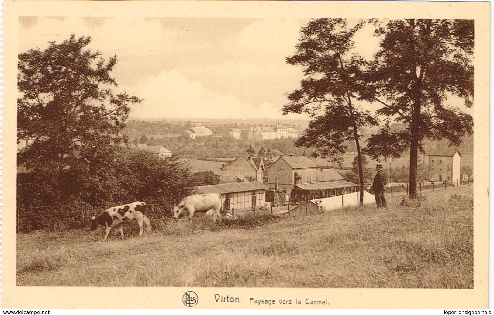 CPA - Virton - Paysage Vers Le Carmel - Nels - Virton