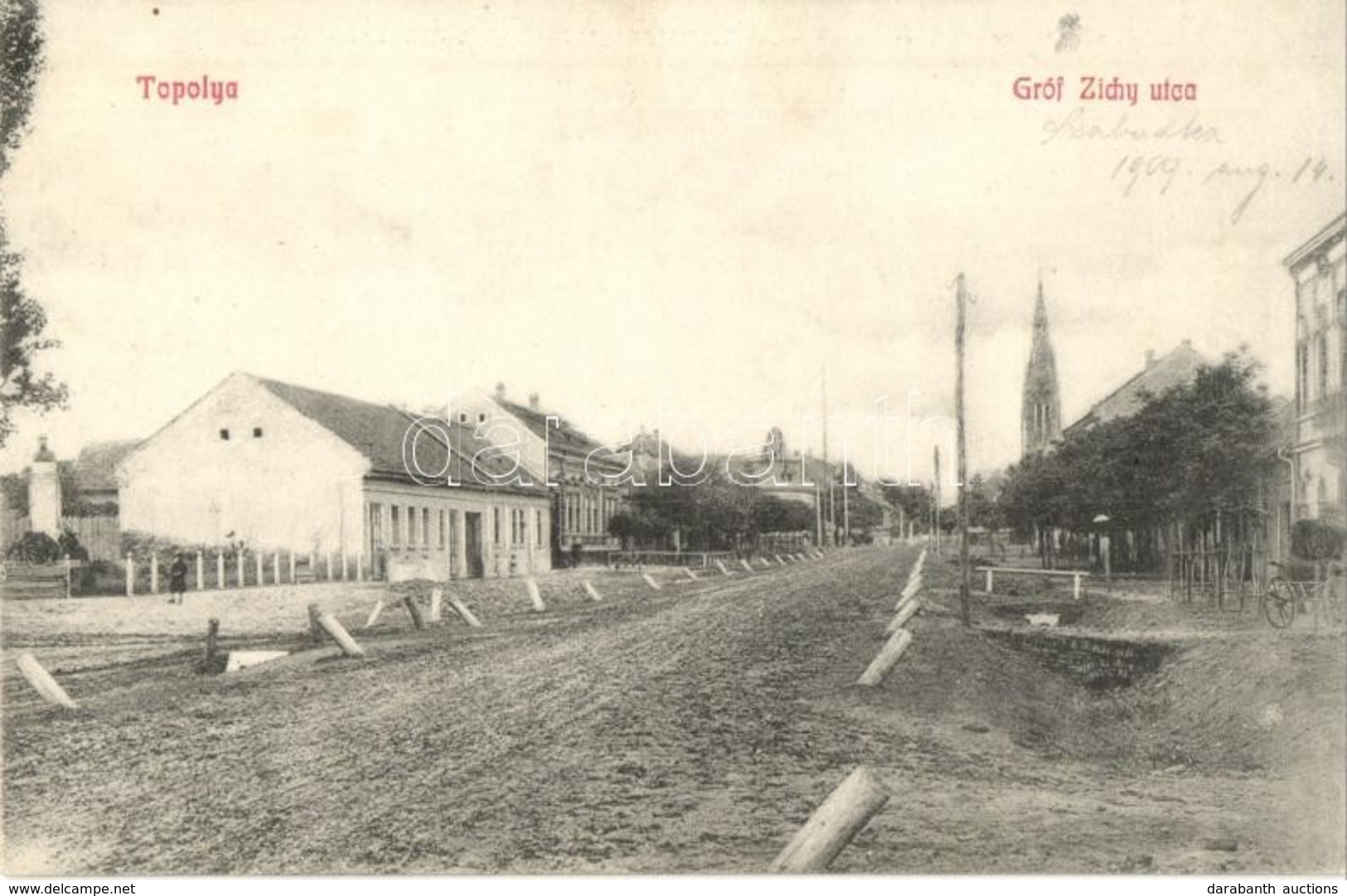 T2 1909 Bácstopolya, Topolya, Backa Topola; Gróf Zichy Utca. Riesz Béla Kiadása / Street - Zonder Classificatie