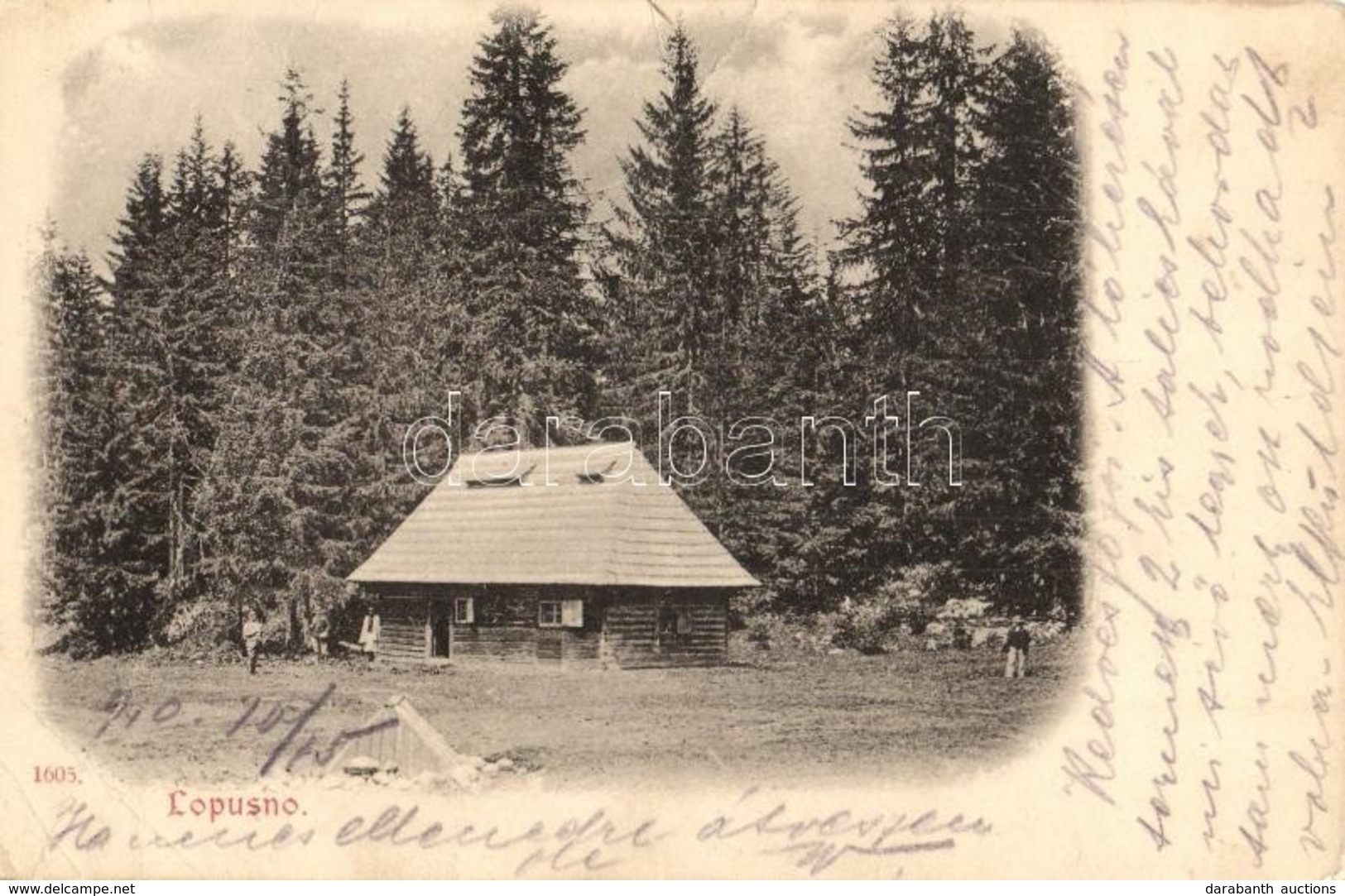 T3 1910 Lopuszno, Lopusno; Wooden House In The Forest, Chalet (EB) - Zonder Classificatie