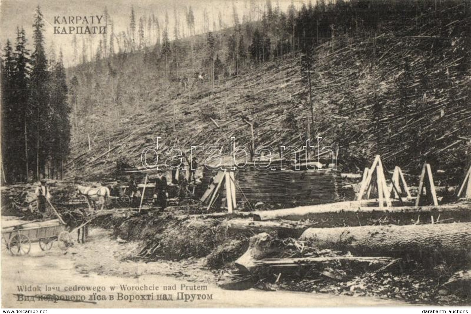 ** T1/T2 Vorokhta, Worochta, Worochsie, Vorohta; Widok Lasu Cedrowego Nad Prutem / Cedar Forest Near Prut River, Sawmill - Zonder Classificatie