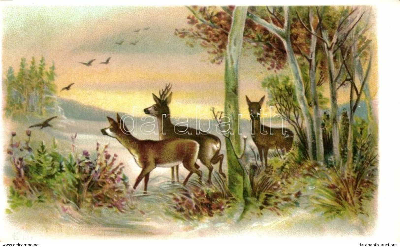 ** T2/T3 Deer Litho (EK) - Zonder Classificatie