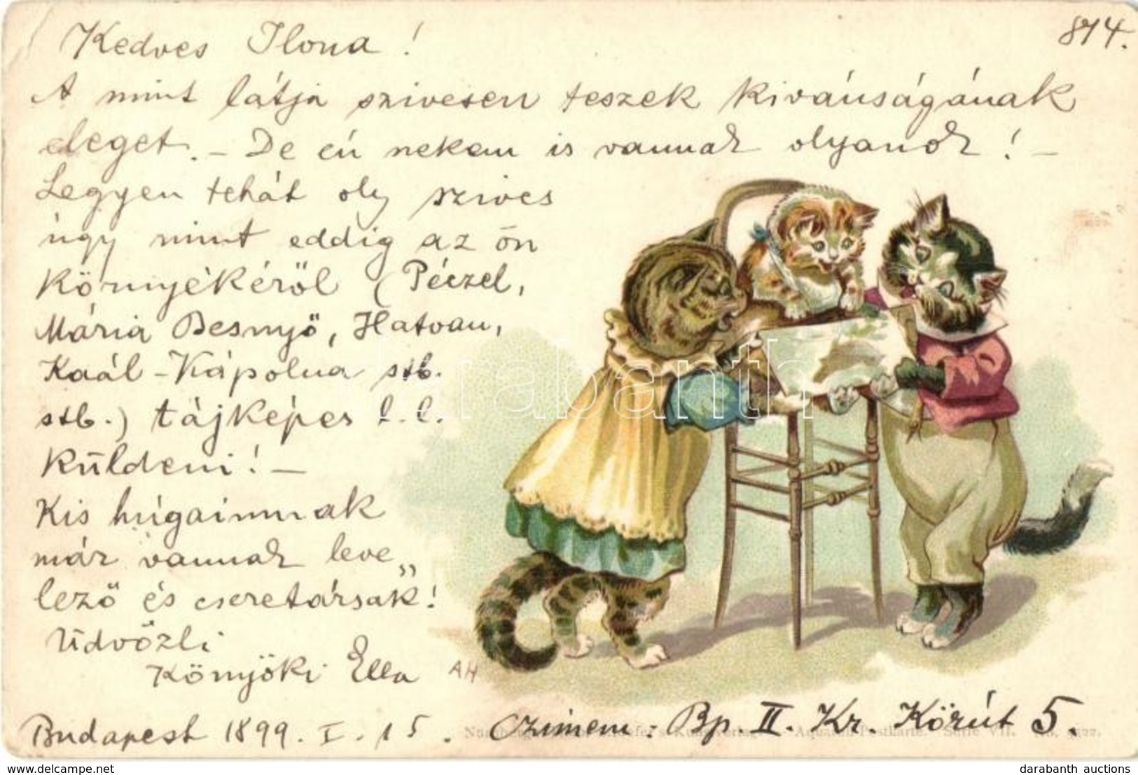 T2/T3 1899 Cats. Theo. Stroefer's Kunstverlag Aquarell-Postkarte Serie VII. No. 5522. Litho (EK) - Zonder Classificatie