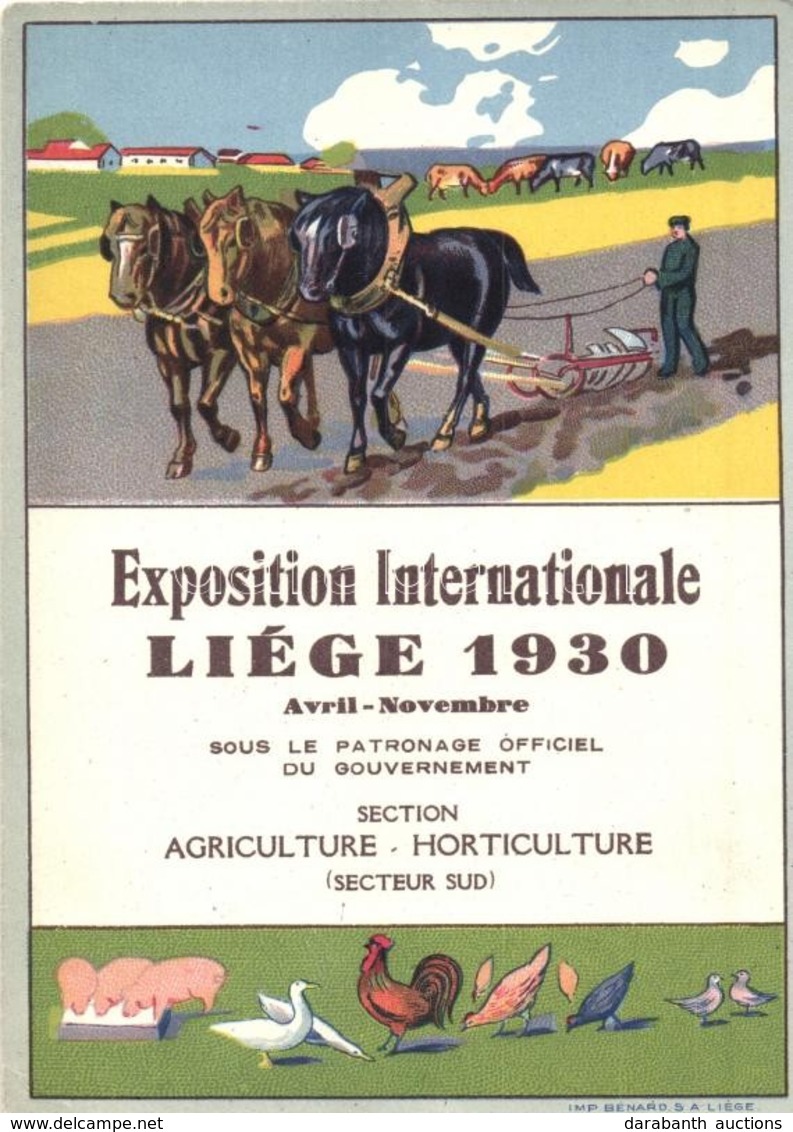 ** T2/T3 1930 Liege, Exposition Internationale, Section Agriculture - Horticulture / International Exhibition Advertisem - Zonder Classificatie