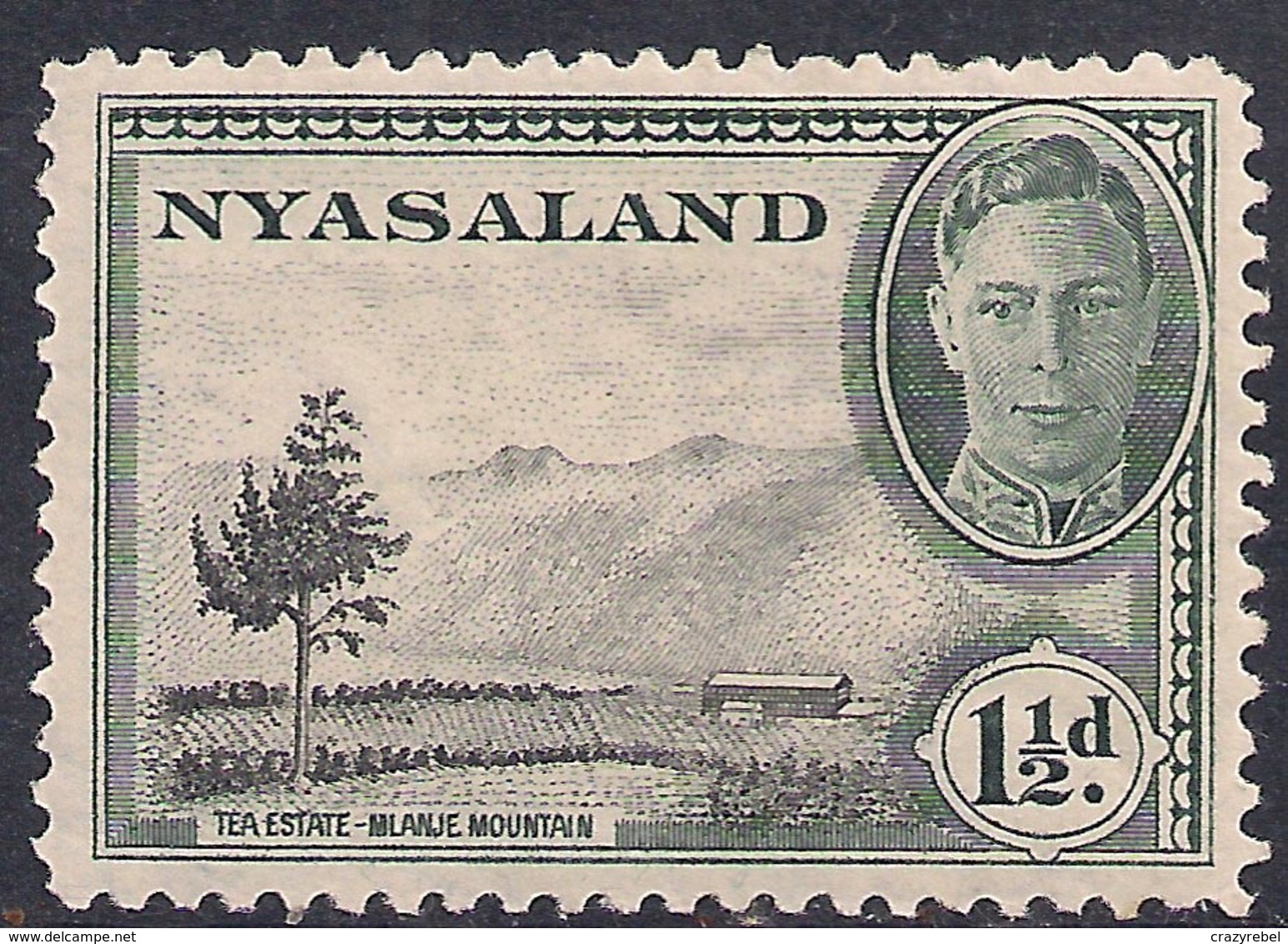 Nyasaland 1945 KGV1 1 1/2d Black & Grey Green MM SG 146 ( L1256 ) - Nyassaland (1907-1953)