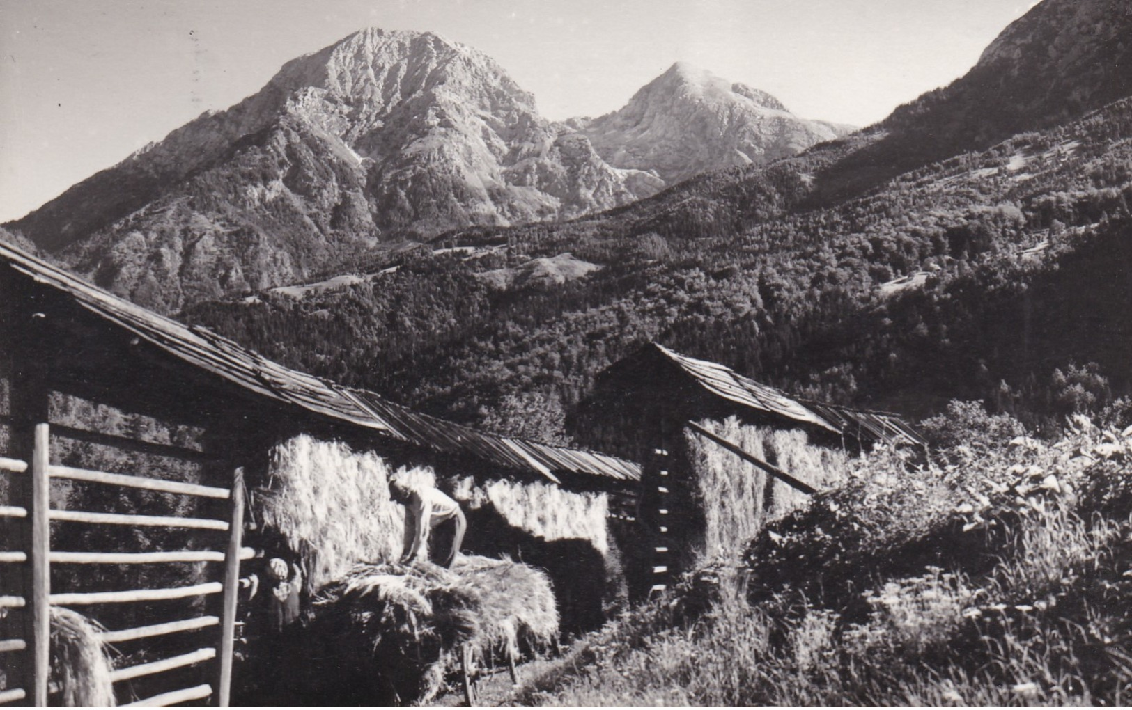 JEZERSKO,SLOVENIA POSTCARD - Slovenia