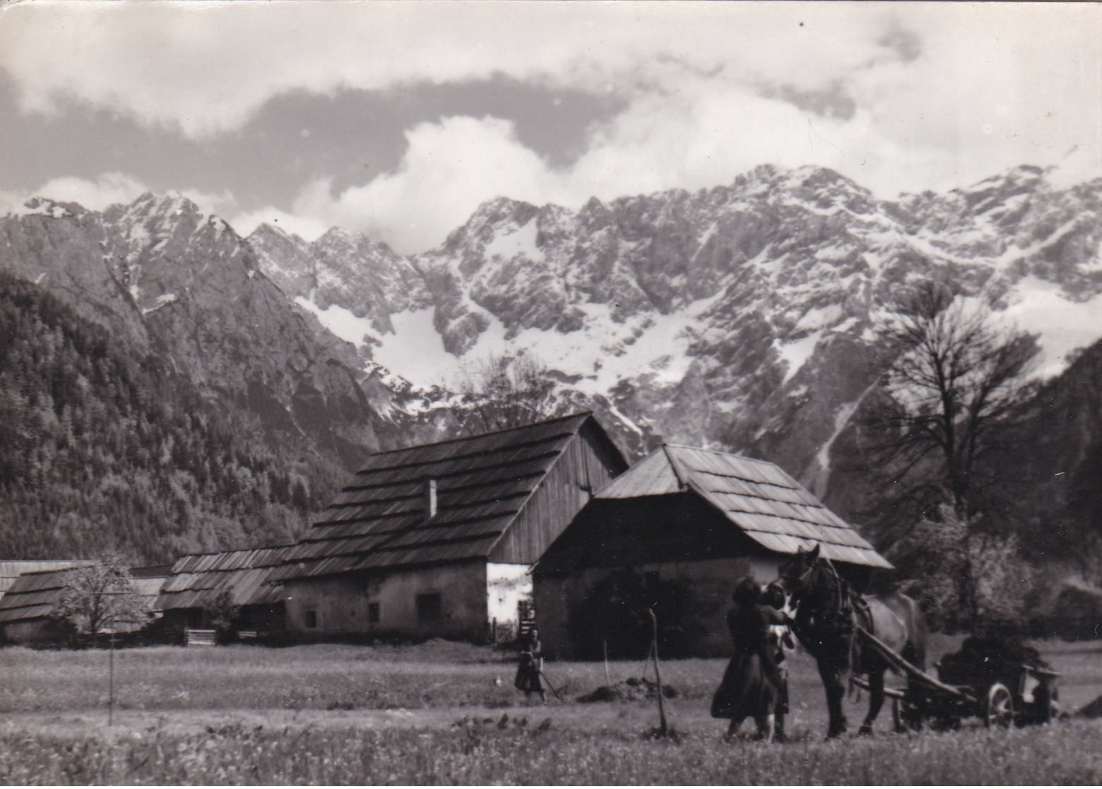 JEZERSKO,SLOVENIA POSTCARD - Slovenia