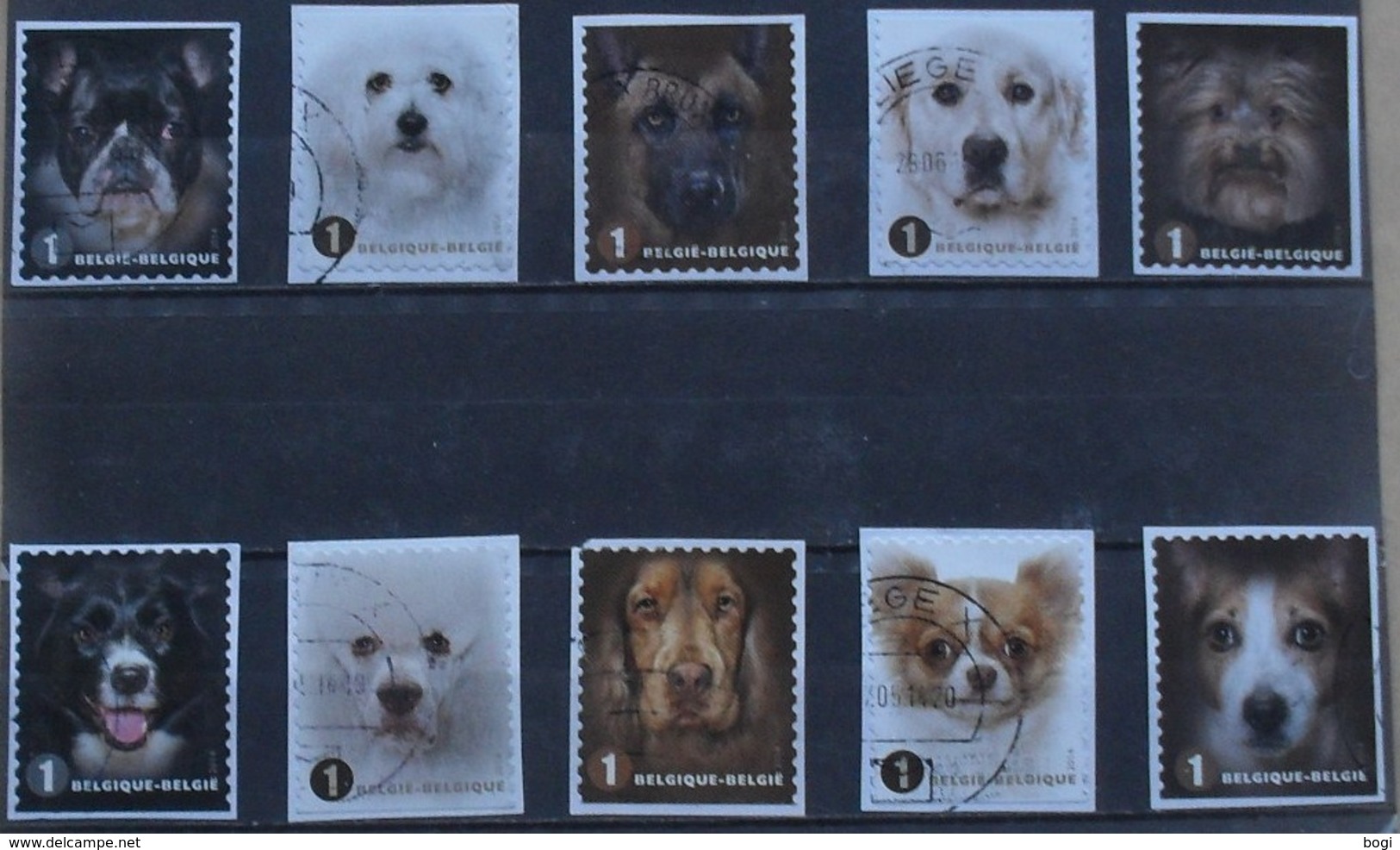 België 2014 Honden  Chiens - Used Stamps