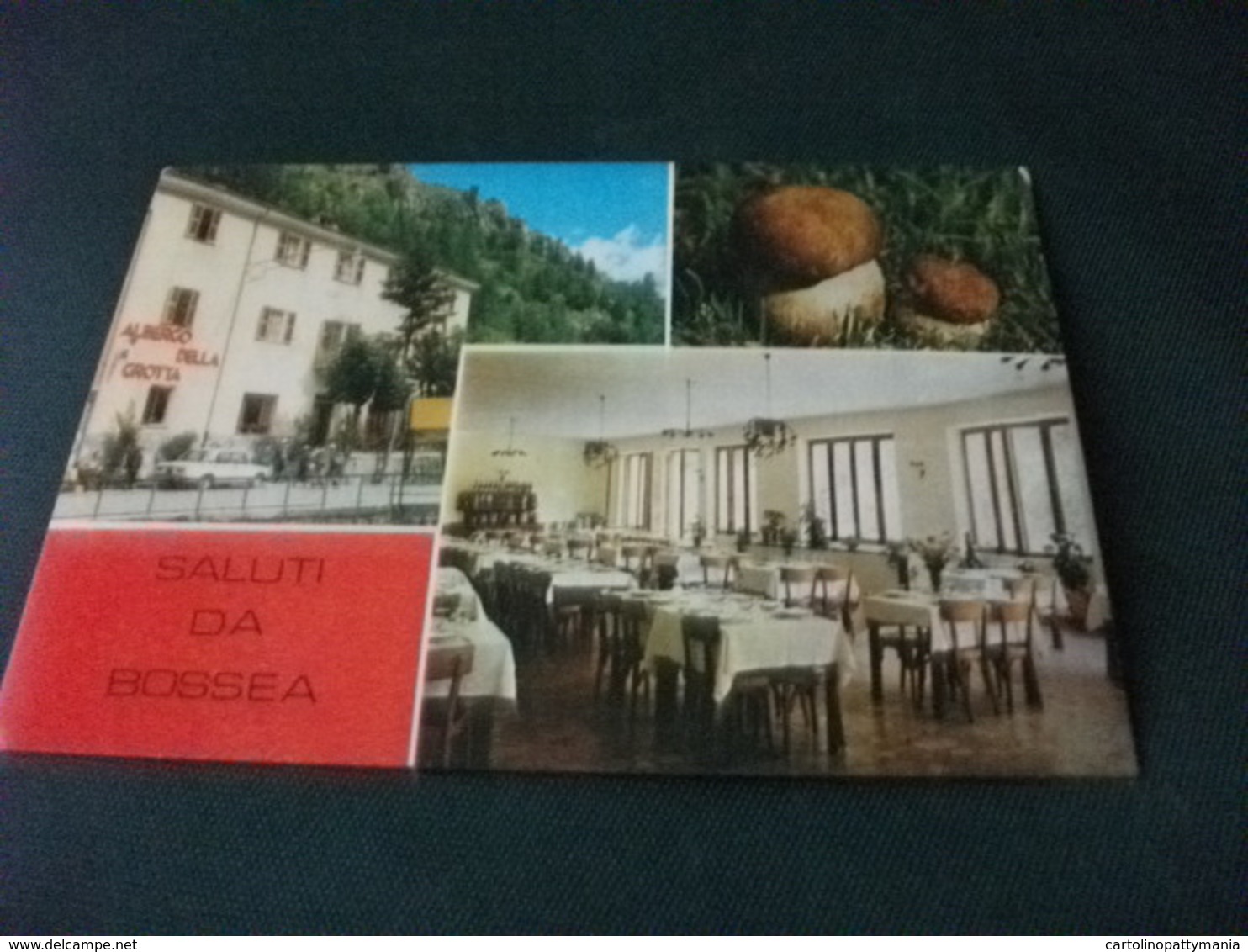 FUNGHI PORCINI ALBERGO DELLA GROTTA VEDUTA ESTERNO INTERNO SALUTI DA BOSSEA CUNEO - Funghi