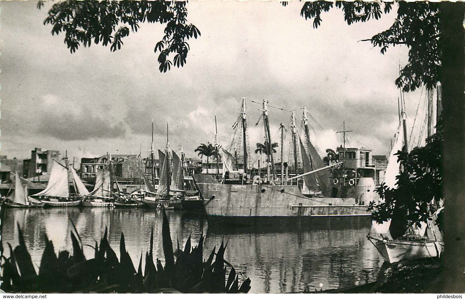 GUADELOUPE  POINTE A PITRE Un Coin Du Vieux Port     ( Cpsm) - Pointe A Pitre