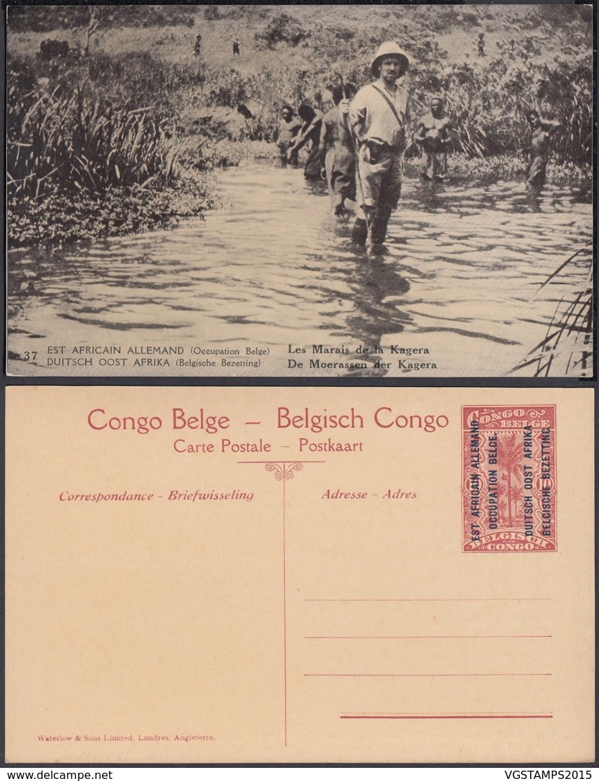 Congo Belge - Entier Postal Nr. 37 - Est Africain Allemand-Occupation Belge- Les Marais De La Kagera (DD) DC1767 - Entiers Postaux