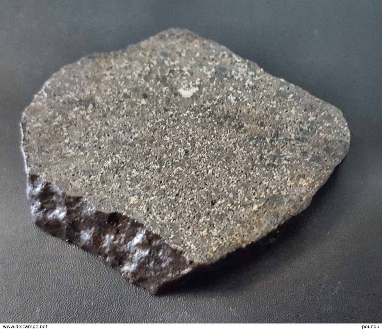 - MÉTÉORITE - NORTH WEST AFRICA - 13.16 G - Meteorites