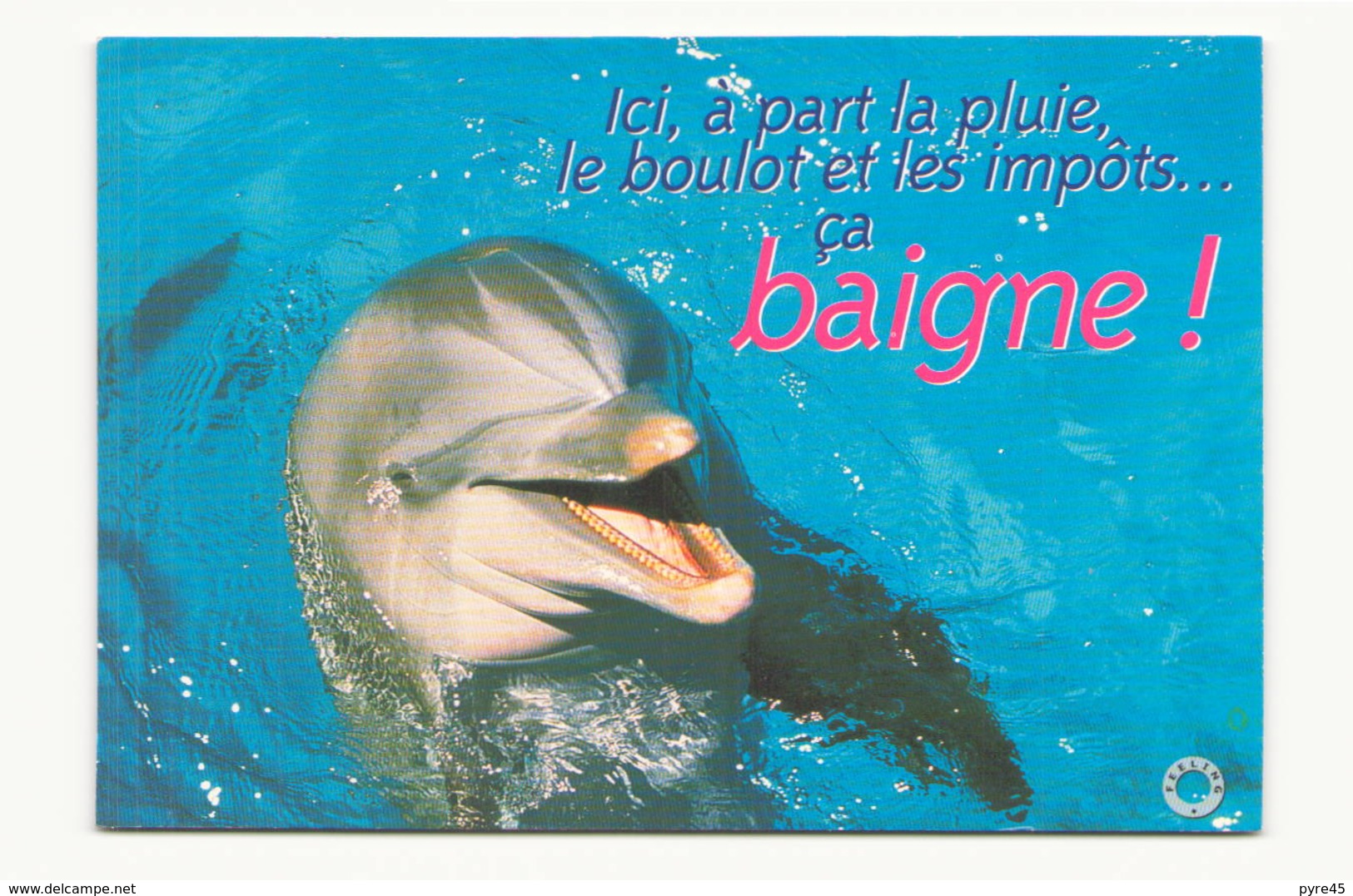 ICI A PART LA PLUIE LE BOULOT ET LES IMPOTS CA BAIGNE - Dauphins