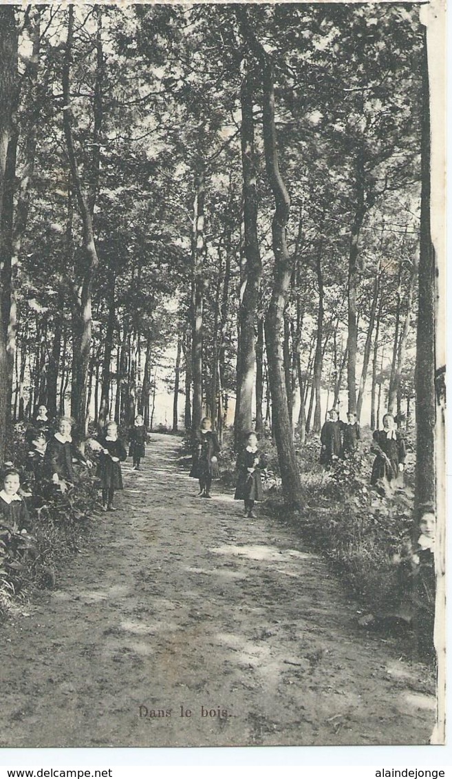 Wavre-Notre-Dame - Institut Des Ursulines - Dans Le Bois - Sint-Katelijne-Waver