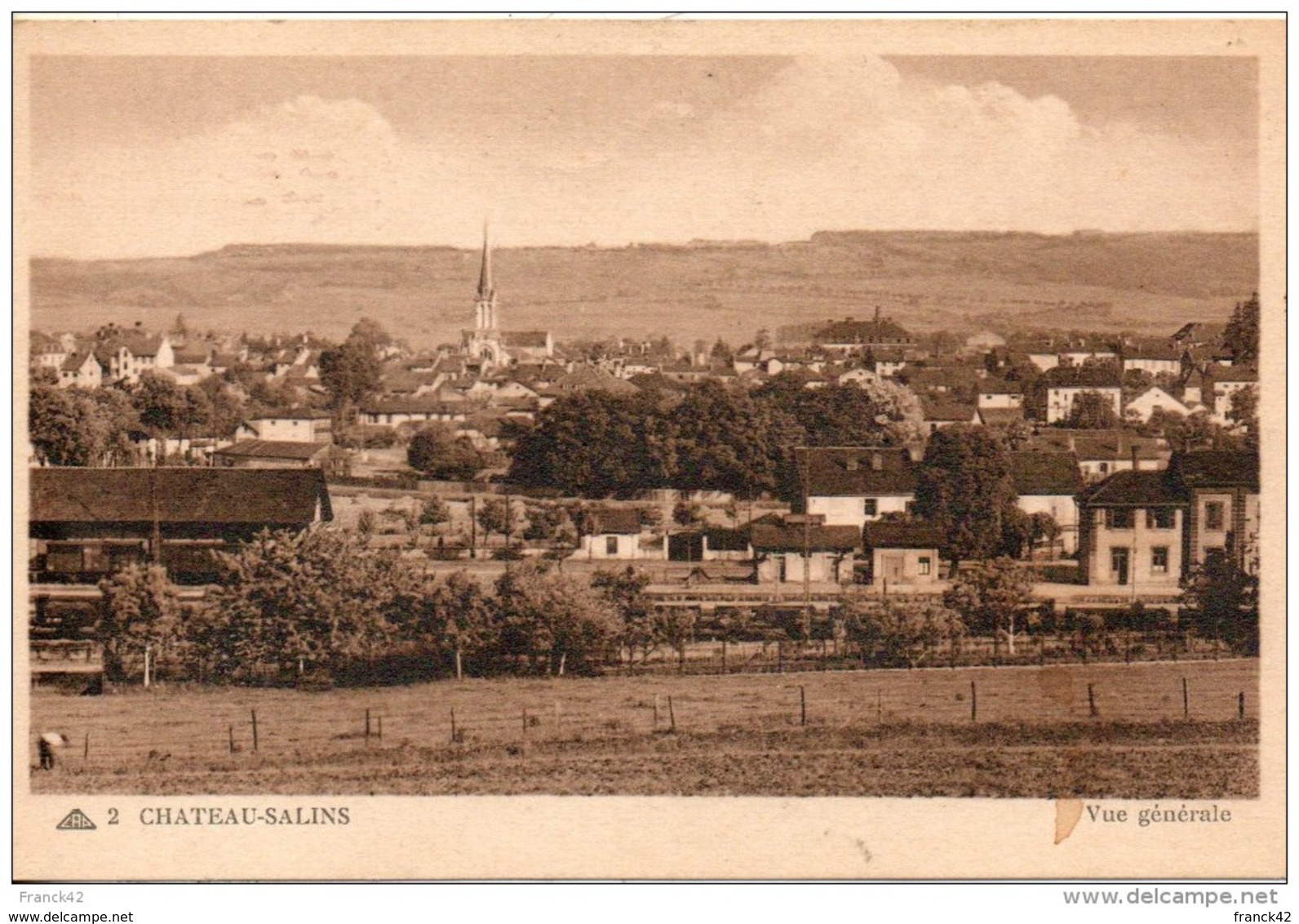 57. Chateau Salins. Vue Générale - Chateau Salins