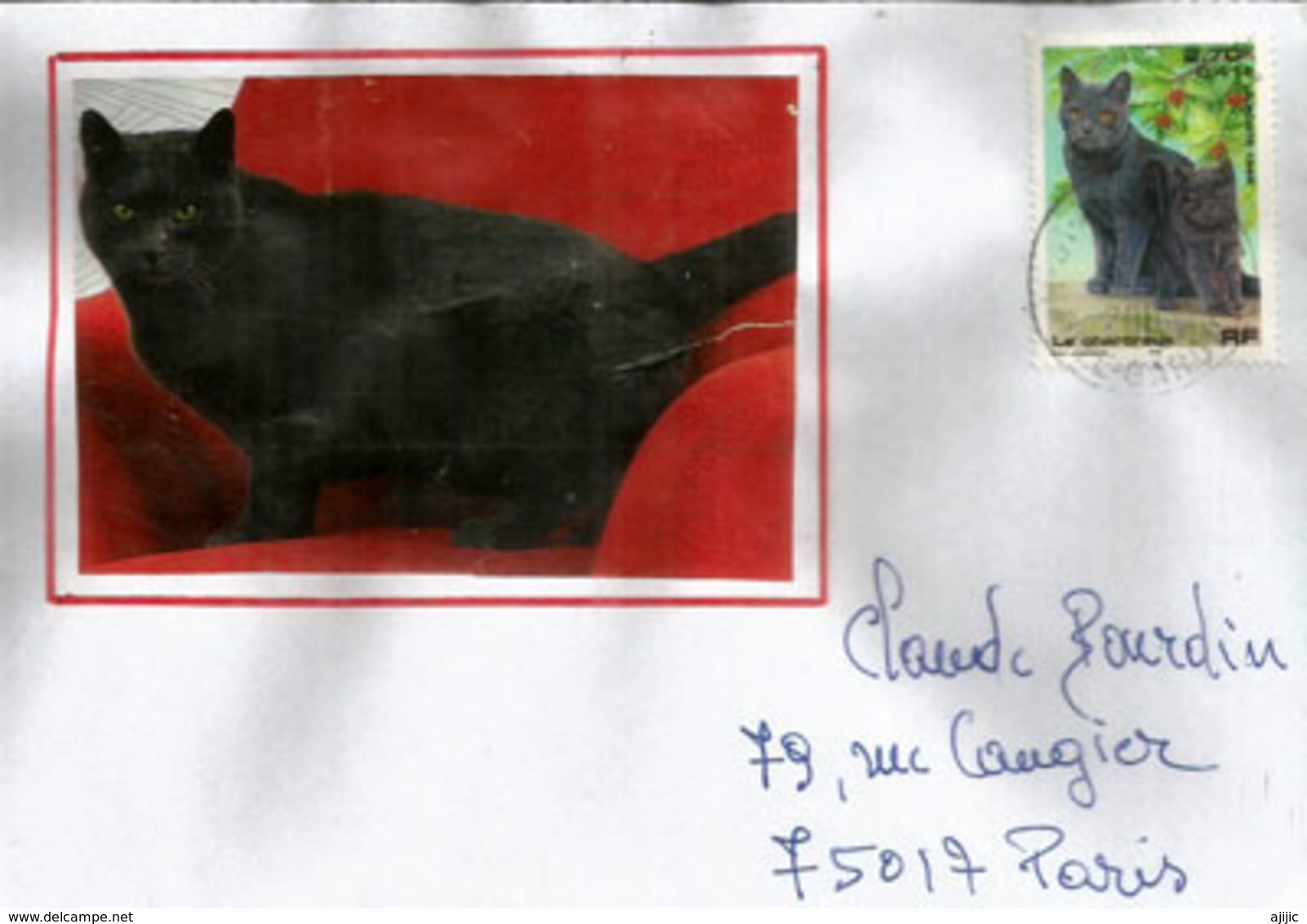 FRANCE. Le Chat Chartreux  Lettre De Haute-Garonne - Chats Domestiques