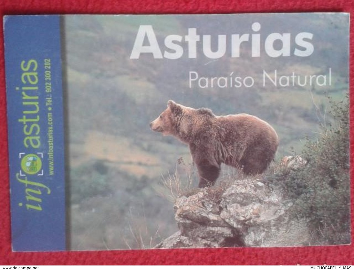 SPAIN POSTAL POST CARD POSTCARD CARTE POSTALE ASTURIAS ESPAÑA PARAISO NATURAL INFO OSO PARDO BEAR OURS BÄR VER FOTO Y DE - Osos