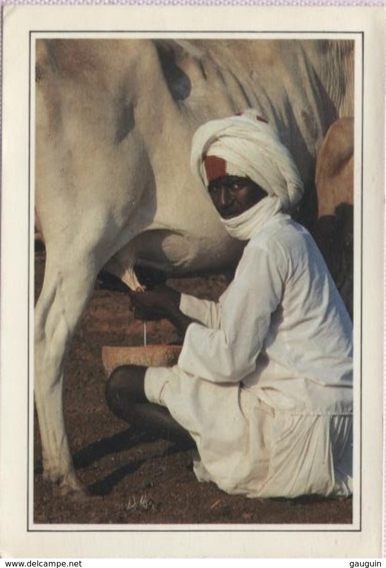 CPM - LE BERGER PEUL - Photo Wakhatilène - Senegal