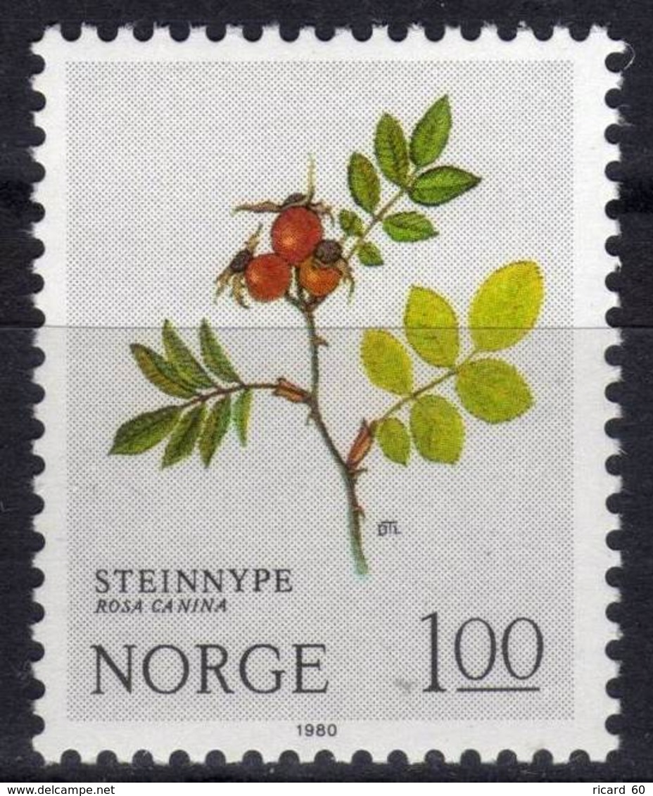 Timbres Neufs De Norvège N° 782 Yt, Fleurs Sauvages, Rosa Canina - Neufs