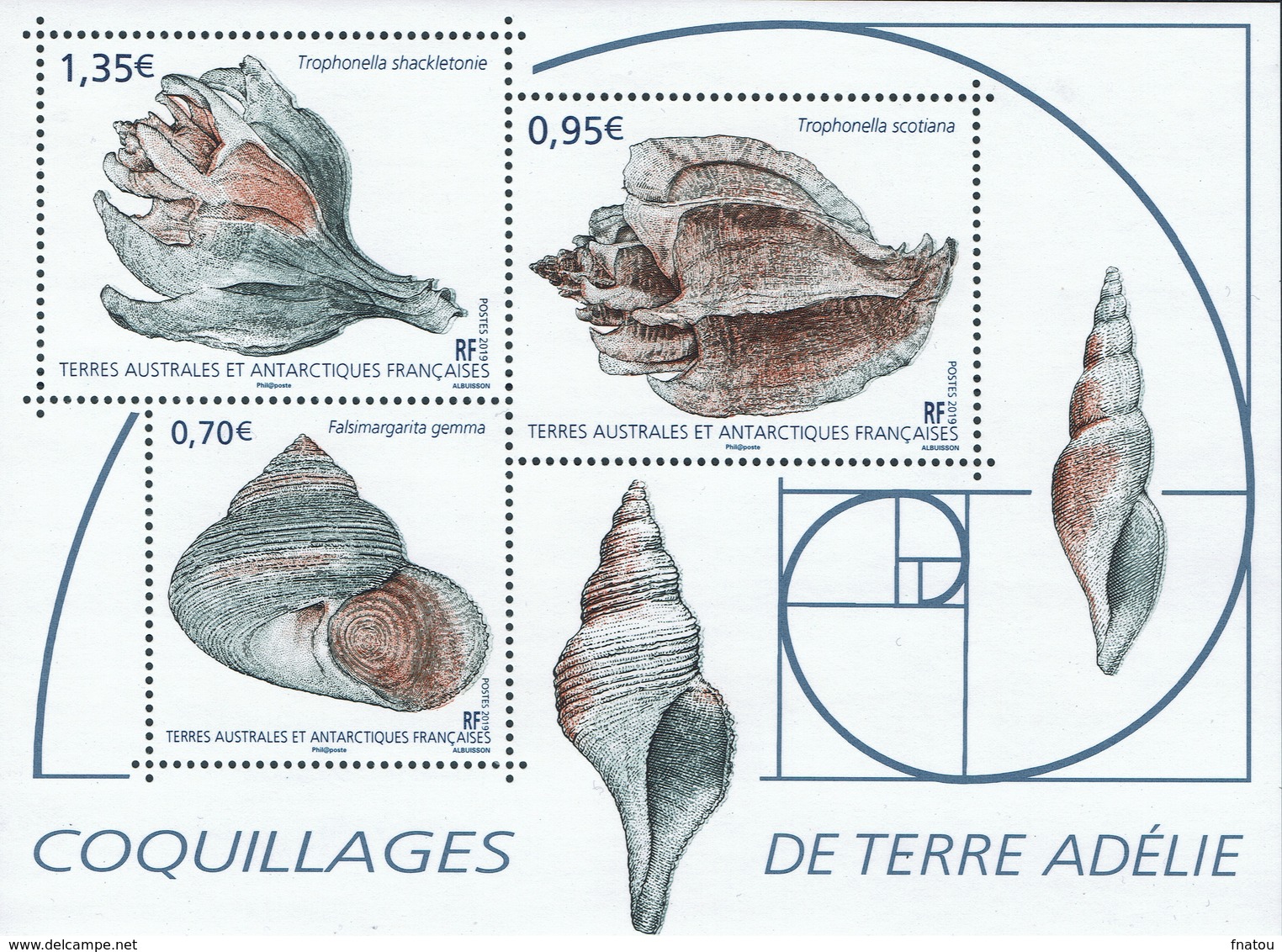 FSAT (TAAF), Shells Of Terre-Adélie, 2019, MNH VF  Souvenir Sheet Of 3 - Unused Stamps