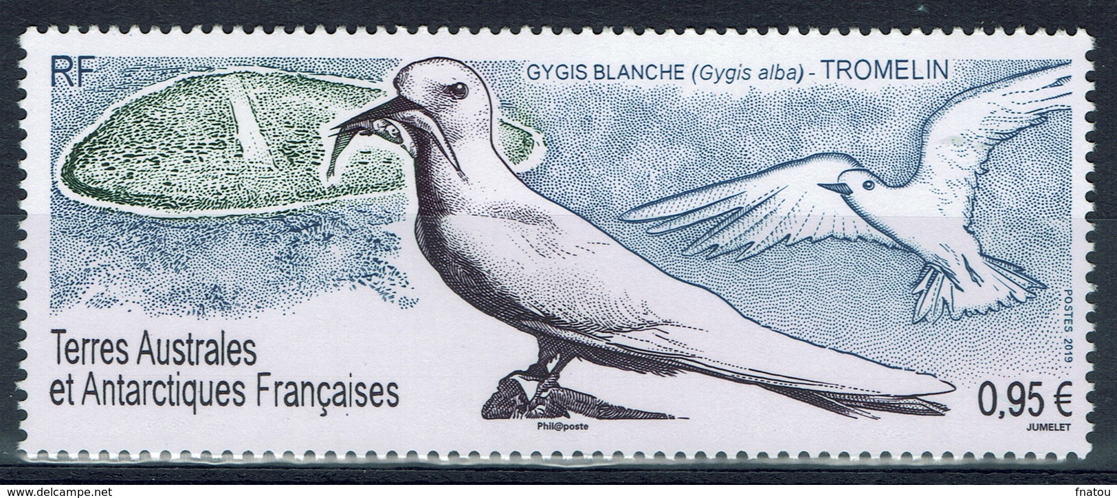 FSAT (TAAF) , Bird, White Tern (Gygis Alba), 2019, MNH VF - Unused Stamps