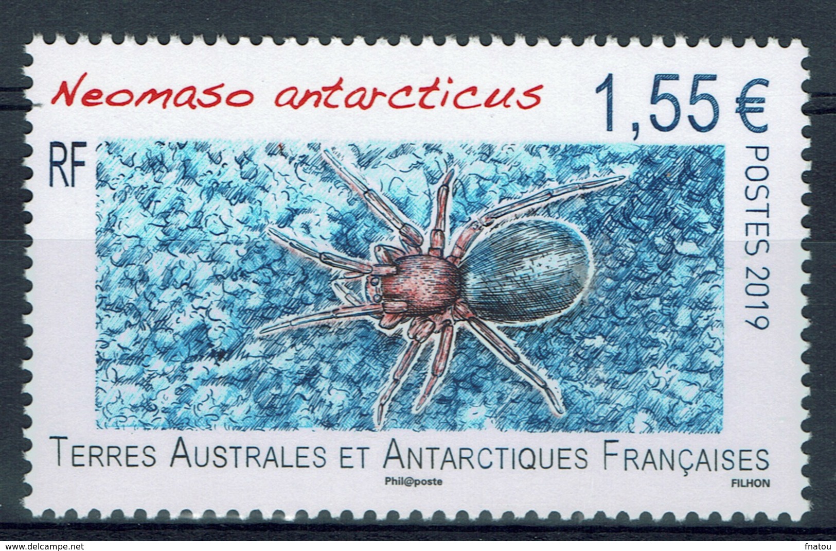 FSAT (TAAF), Spider, Neomaso Antarcticus, 2019, MNH VF - Unused Stamps